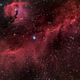 Illustration for article titled The Seagull Nebula spreads its wings across 100 light-years